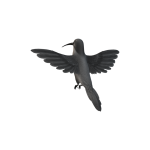 humming-bird-isolated-on-a-transparent-background-free-png